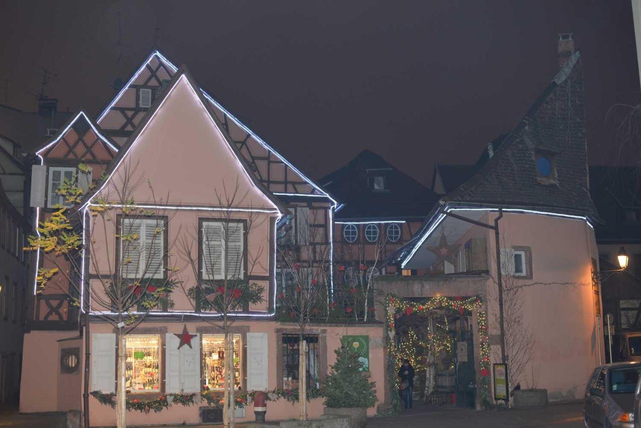 Chez Myriam Bed And Breakfast Studio Parme Colmar Esterno foto