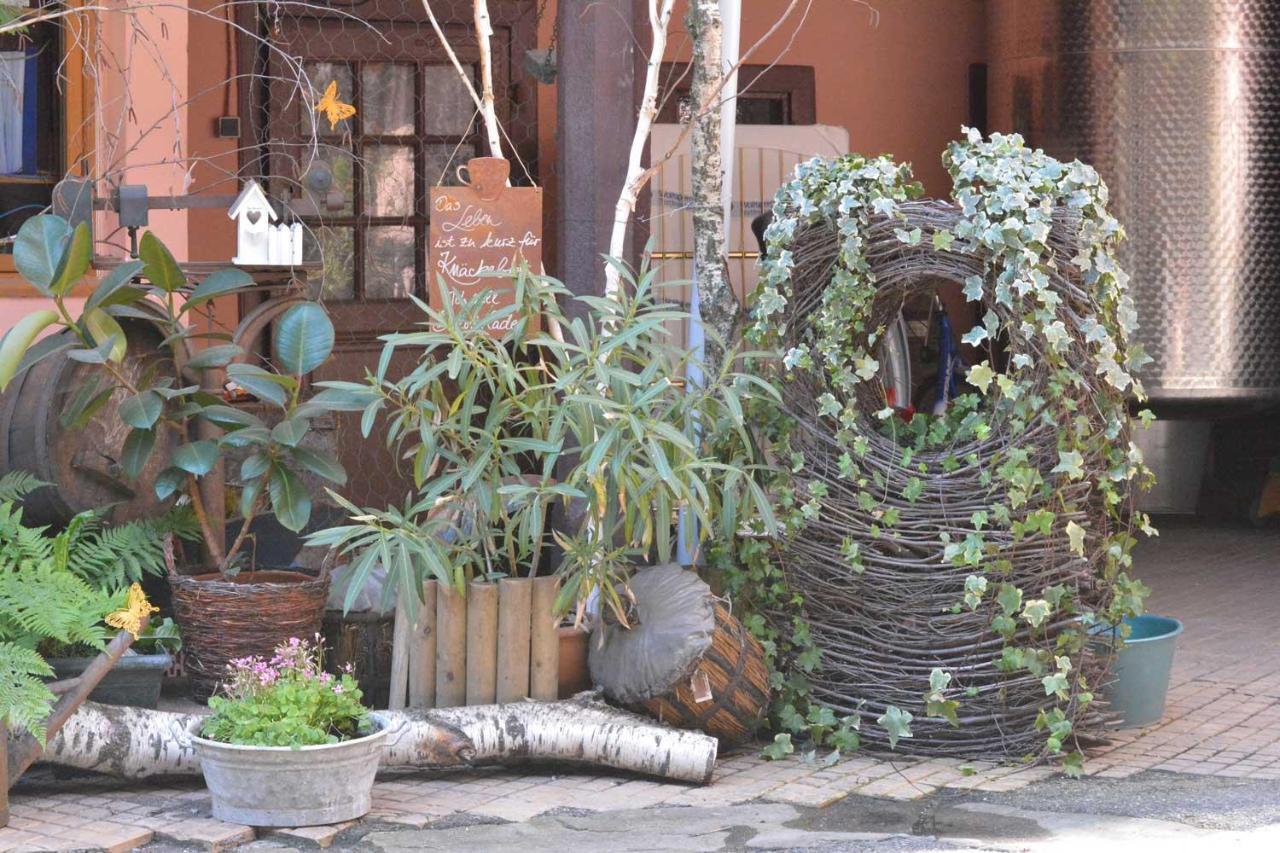 Chez Myriam Bed And Breakfast Studio Parme Colmar Esterno foto